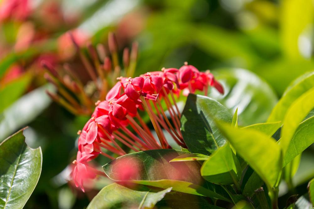 Courtyard By Marriott Waikiki Beach Хонолулу Екстериор снимка