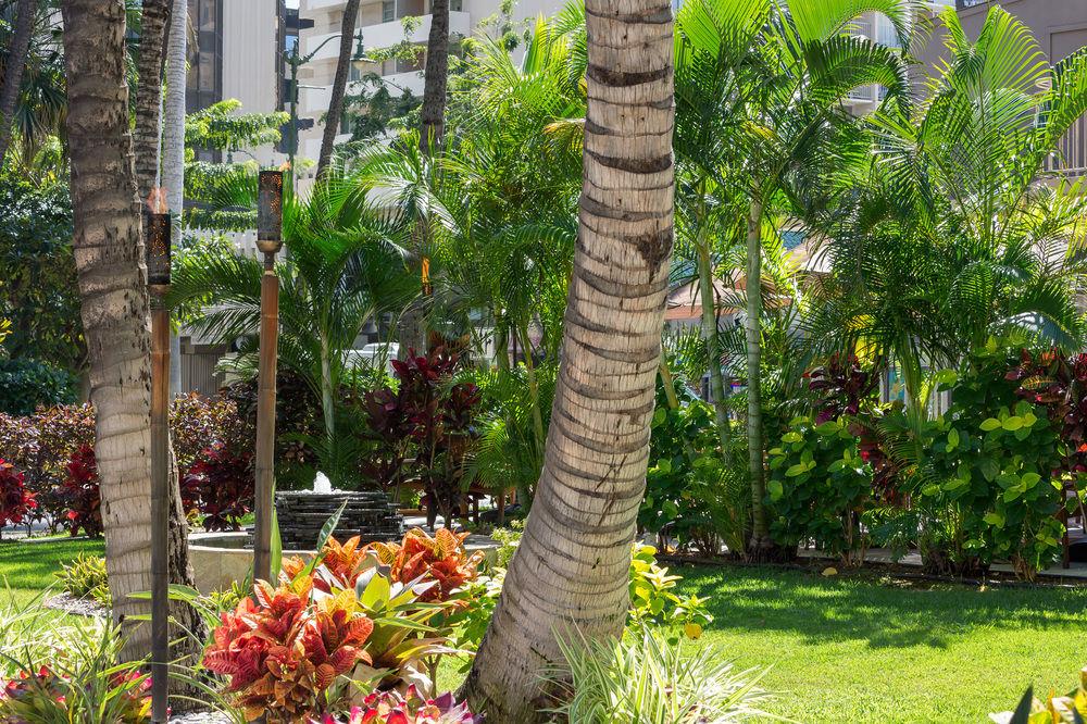 Courtyard By Marriott Waikiki Beach Хонолулу Екстериор снимка